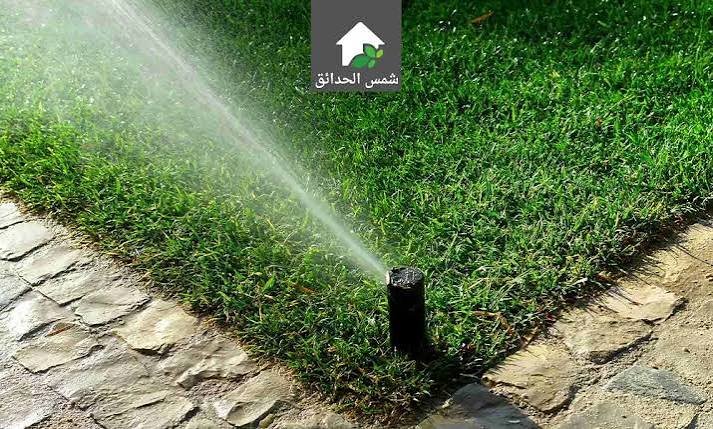 كنمحخنتح