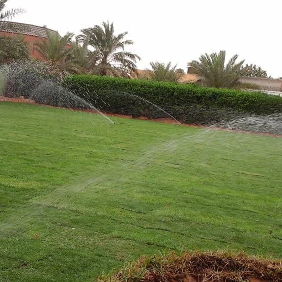 نكمتحخ