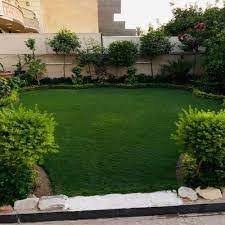 نمهتحخ