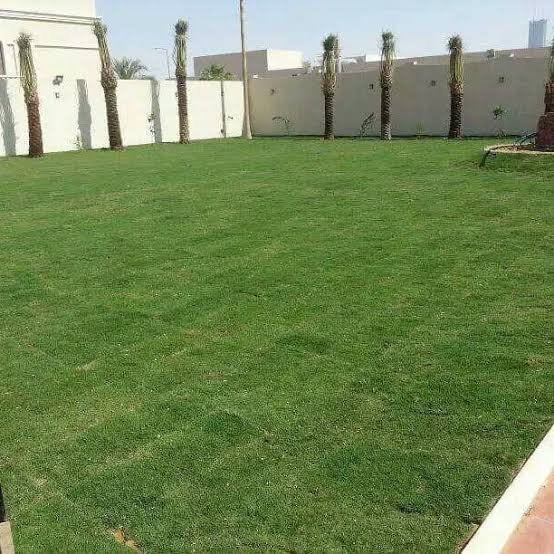 نمهتعخط